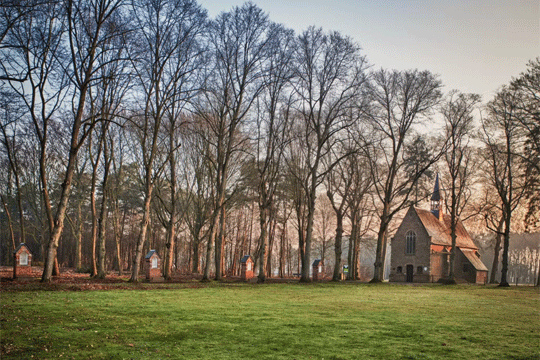 Kinderwandeling Heggebos