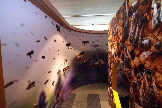 Bijenteeltmuseum