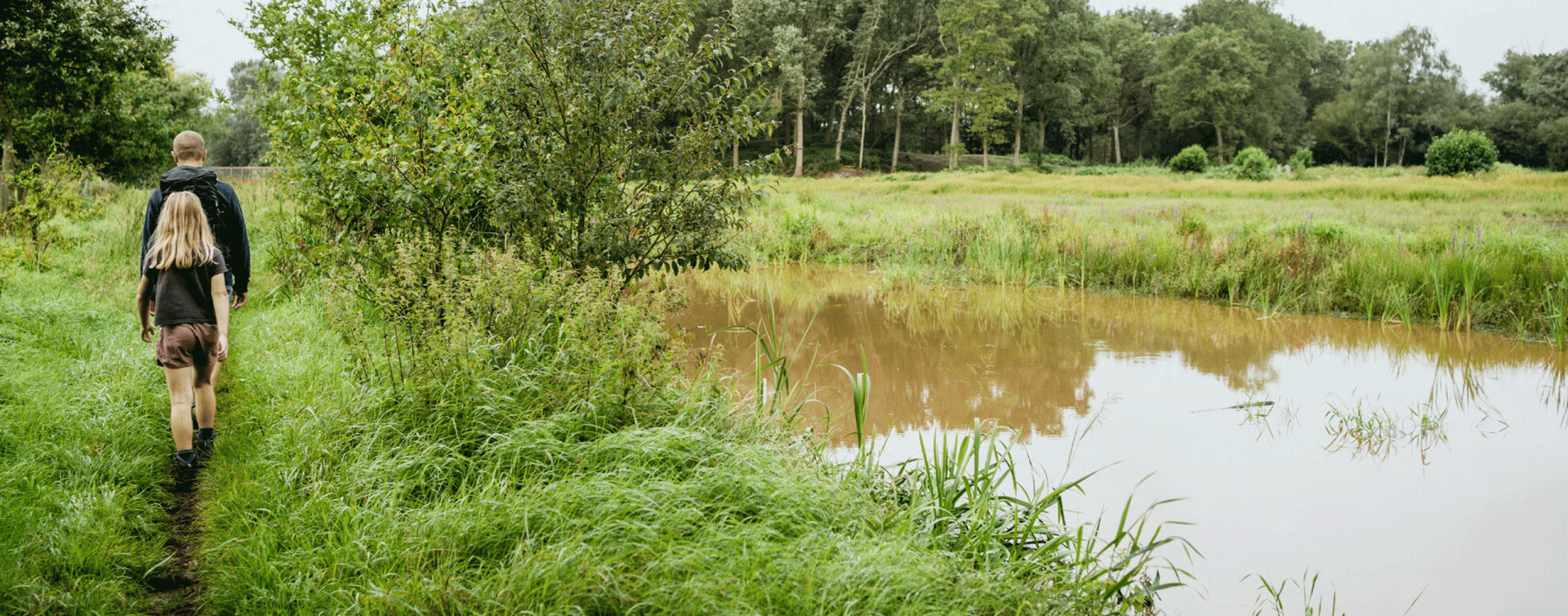 Het Olens Broek