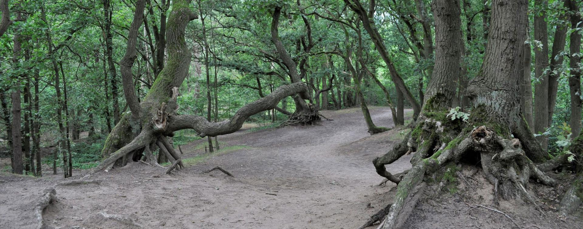 Konijnenberg