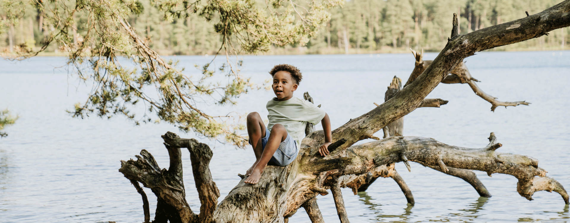 Wandelen met kinderen