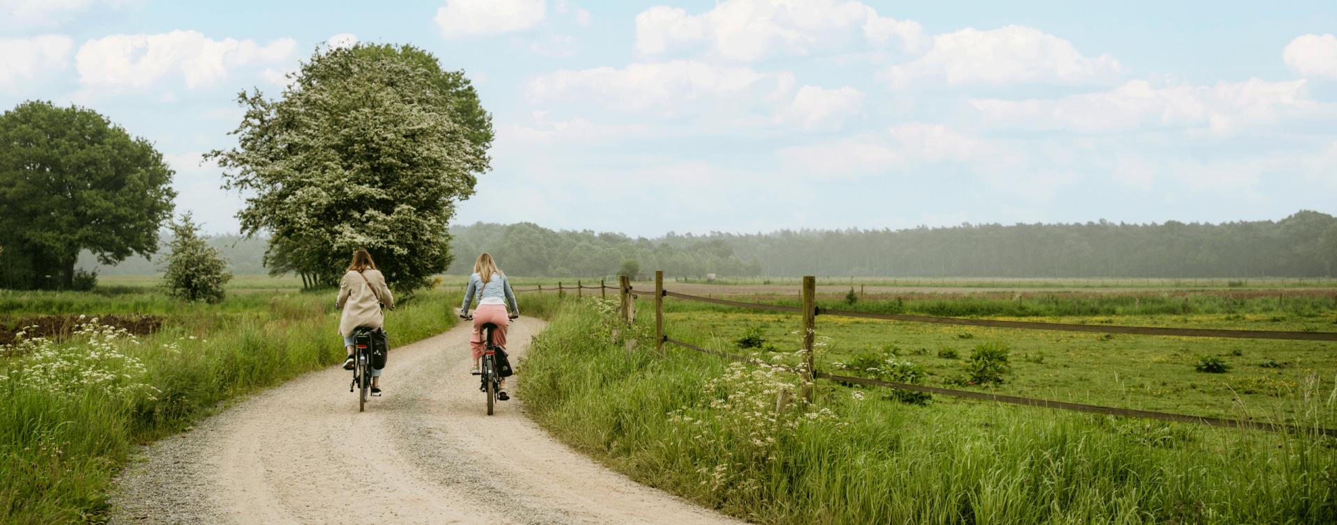 Fietsen lente Kempen