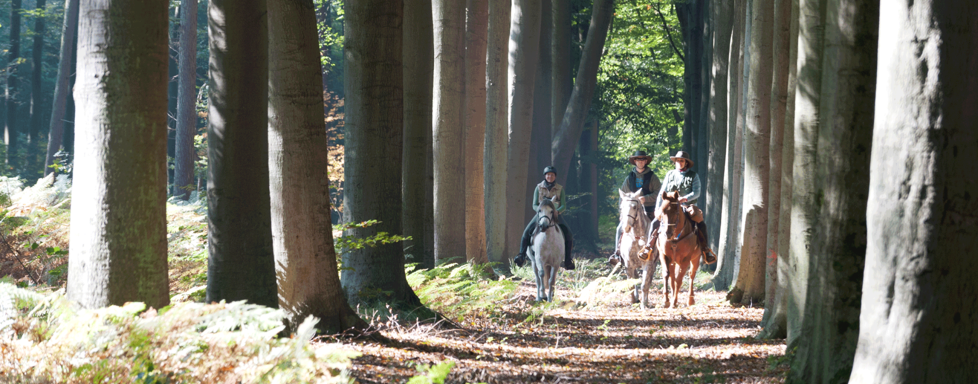 Toeren in de Kempen