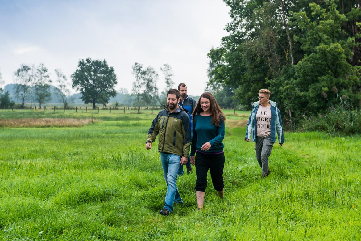 Wandelen in de Kempen Wandelen in de Kempen