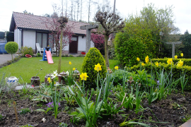 B&B De Zon