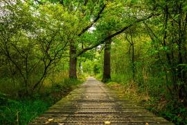 Stille wandeling Stille wandeling