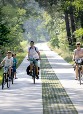 Fietsen in de Kempen